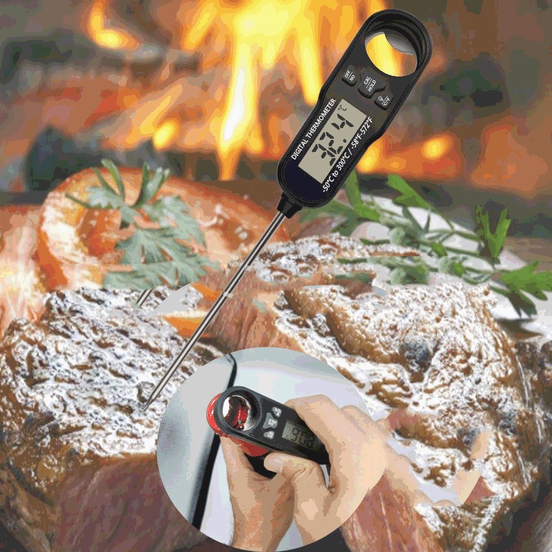 ThermoRead Instant Meat Thermometer